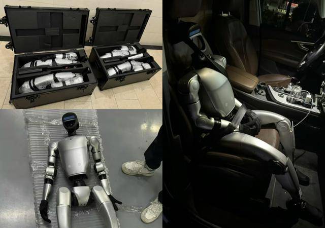 售价10万~65万<strong></p>
<p>ps虚拟币</strong>，销售一空！谁在抢购人形机器人