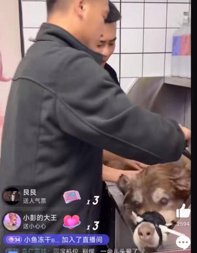 千万粉丝训犬师网红潘宏账号内容被一夜清空<strong></p>
<p>人民虚拟币</strong>，园区所在地官方：正调查