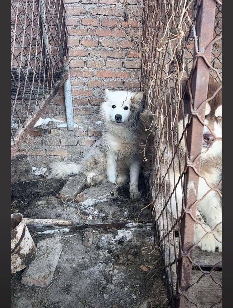 千万粉丝训犬师网红潘宏账号内容被一夜清空<strong></p>
<p>人民虚拟币</strong>，园区所在地官方：正调查