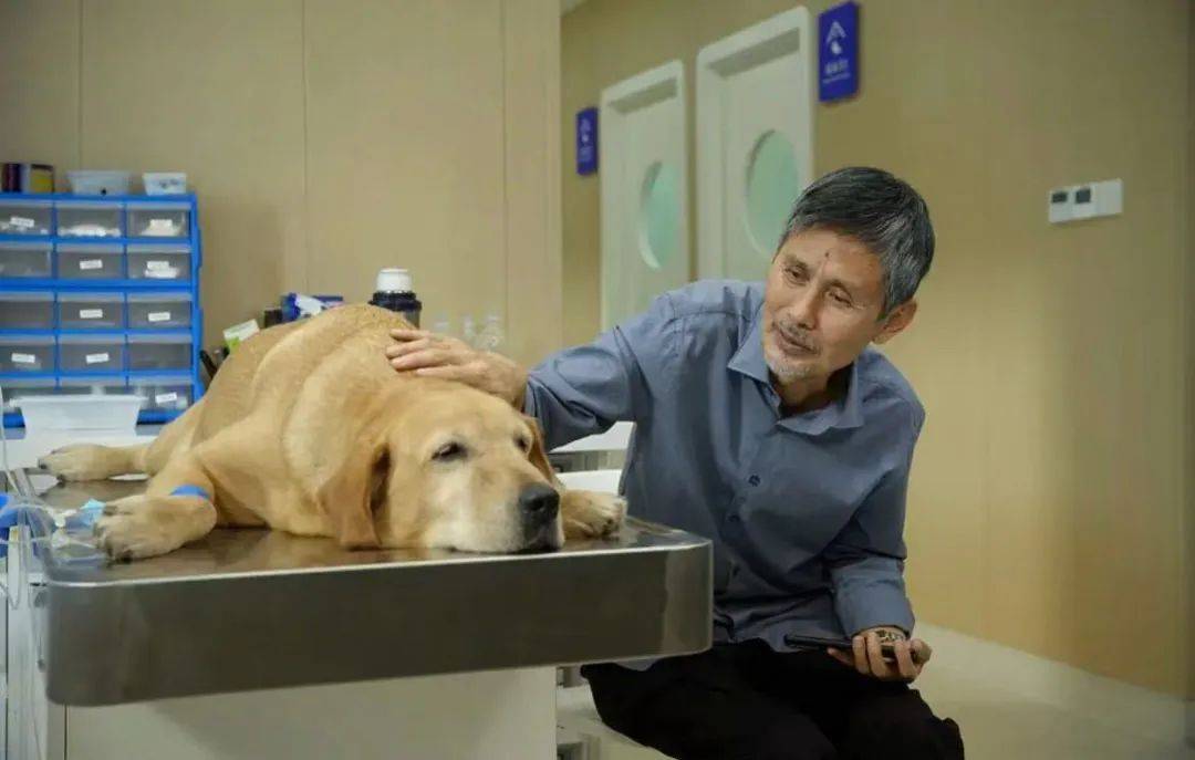 3000万只宠物的养老<strong></p>
<p>交易虚拟币平台</strong>，难倒了年轻人