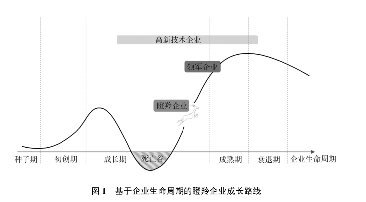 政府工作报告中的新词“瞪羚企业”<strong></p>
<p>虚拟币的交易平台</strong>，是什么意思