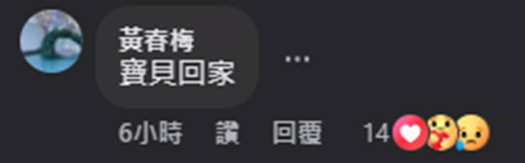 S妈分享AI大S视频 表示：<strong></p>
<p>虚拟币美元</strong>我女儿回来了