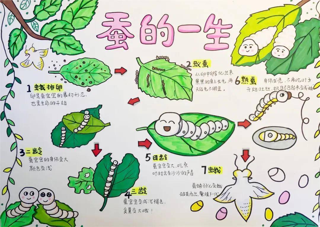 一年卖出1亿条虫!迷倒全国“10后”的小生意<strong></p>
<p>虚拟币上交易所</strong>,有人年入千万