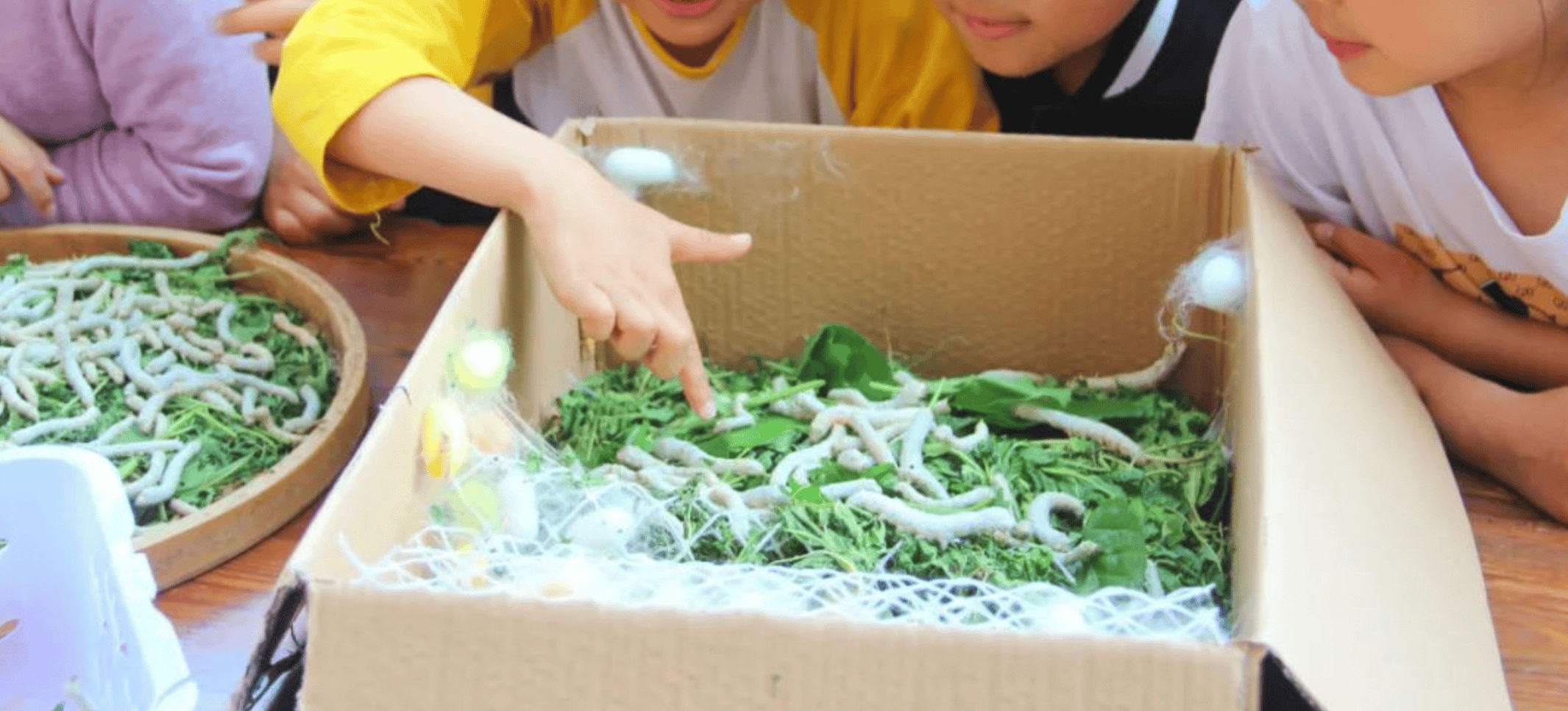 一年卖出1亿条虫!迷倒全国“10后”的小生意<strong></p>
<p>虚拟币上交易所</strong>,有人年入千万