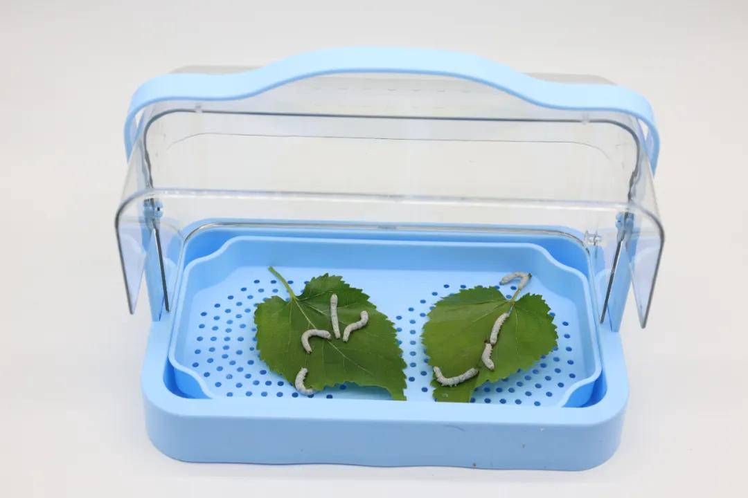 一年卖出1亿条虫!迷倒全国“10后”的小生意<strong></p>
<p>虚拟币上交易所</strong>,有人年入千万