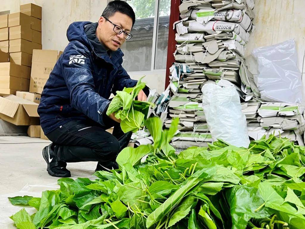 一年卖出1亿条虫!迷倒全国“10后”的小生意<strong></p>
<p>虚拟币上交易所</strong>,有人年入千万