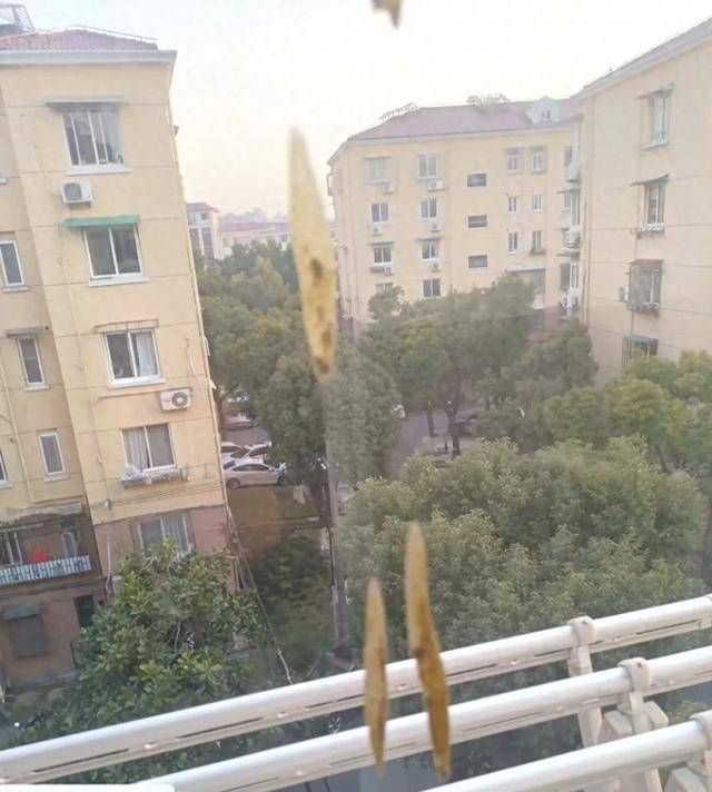 热闻|孩子从楼上抛下湿纸团<strong></p>
<p>虚拟币上交易所</strong>，家长赔了7000元！高空抛物应承担哪些法律责任？