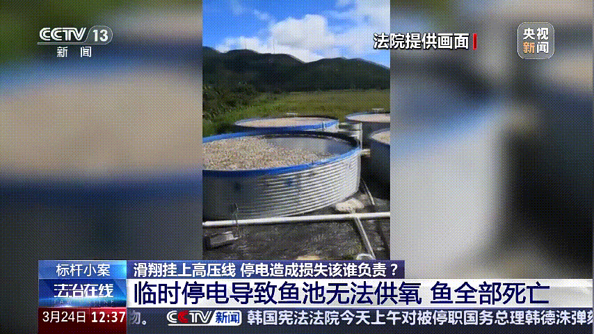 深圳女子被挂高压线！停电救援<strong></p>
<p>传销虚拟币</strong>，9池鱼死光！他怒上法庭……