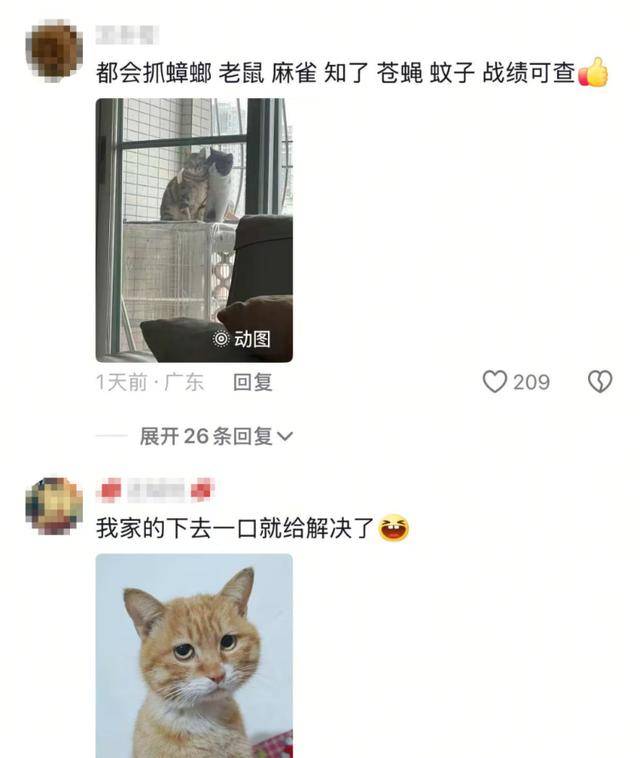 老鼠掉进泳池<strong></p>
<p>传销虚拟币</strong>,广东大叔出动鸡猫狗团队,结果全被老鼠吓跑!网友坐不住纷纷晒战绩