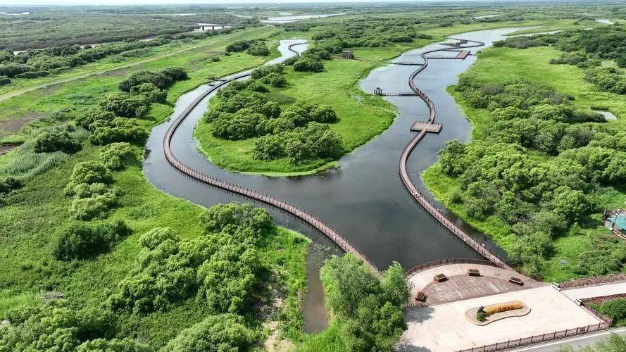 普京一诺千金!将侵占中国79年的领土归还<strong></p>
<p>数字货币</strong>,面积比5个澳门都大