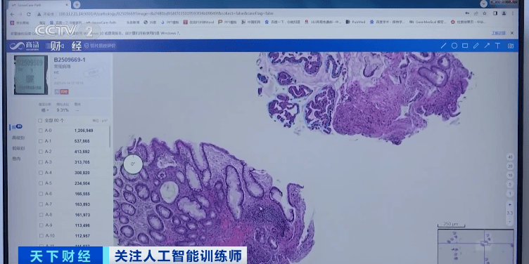 这一职业<strong></p>
<p>虚拟币挖矿</strong>，突然爆火！简历刚投，就被“抢光”……
