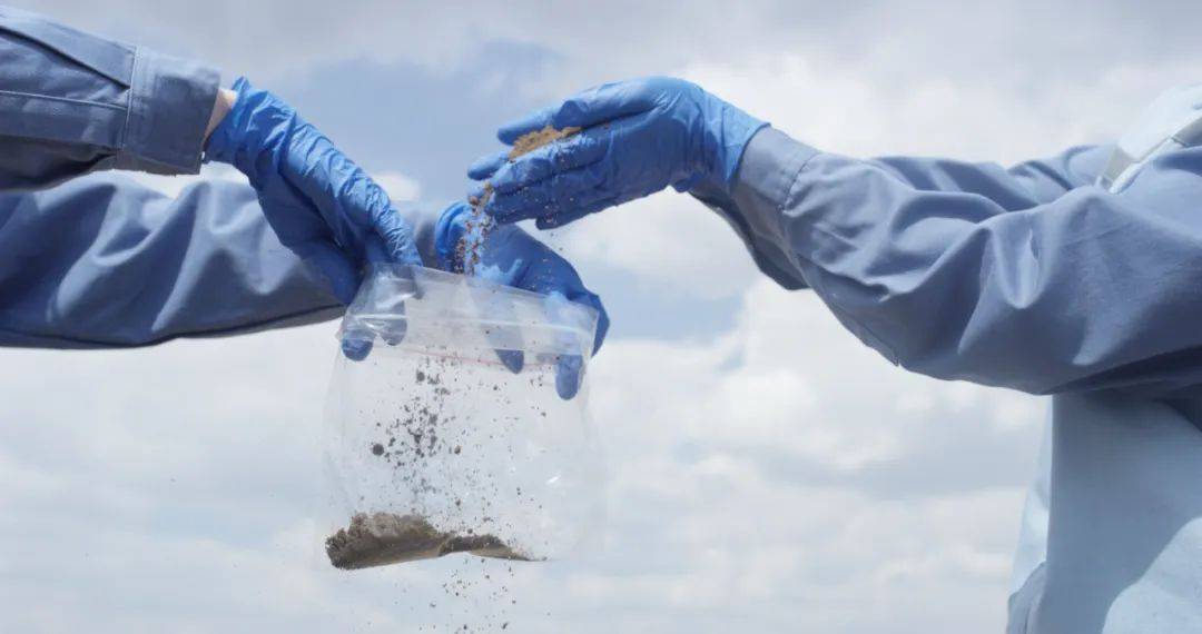 从一颗小番茄开始<strong></p>
<p>虚拟币挖矿</strong>,这个巨头正在重塑餐饮供应链逻辑