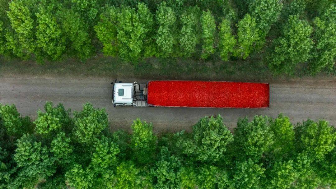 从一颗小番茄开始<strong></p>
<p>虚拟币挖矿</strong>,这个巨头正在重塑餐饮供应链逻辑