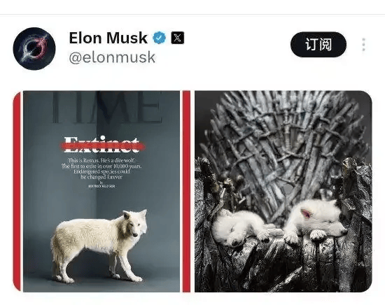 《权力的游戏》中的冰原狼被这家公司复活<strong></p>
<p>虚拟币体育</strong>，马斯克发帖关注