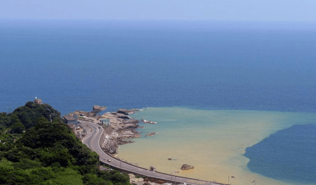 美专家意见罕见统一：一旦中方收回台湾<strong></p>
<p>虚拟数字币交易</strong>，美国或只剩一条路可走