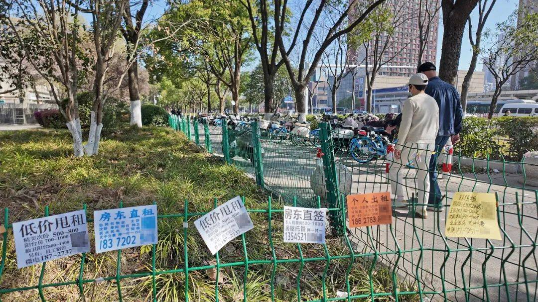 一二线城市房租普降<strong></p>
<p>中国</strong>，房东主动降200留我