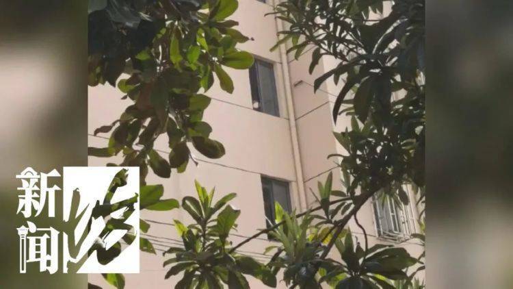 被折磨到崩溃！上海一九旬老太每天定时“输出”<strong></p>
<p>传销币与虚拟币</strong>，邻居被迫“魔法打魔法”