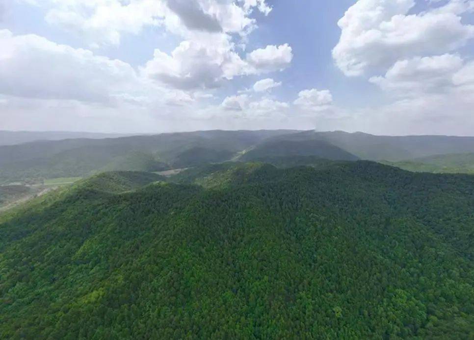 销声匿迹已有30年<strong></p>
<p>传销币与虚拟币</strong>，华北豹正逐渐接近北京——