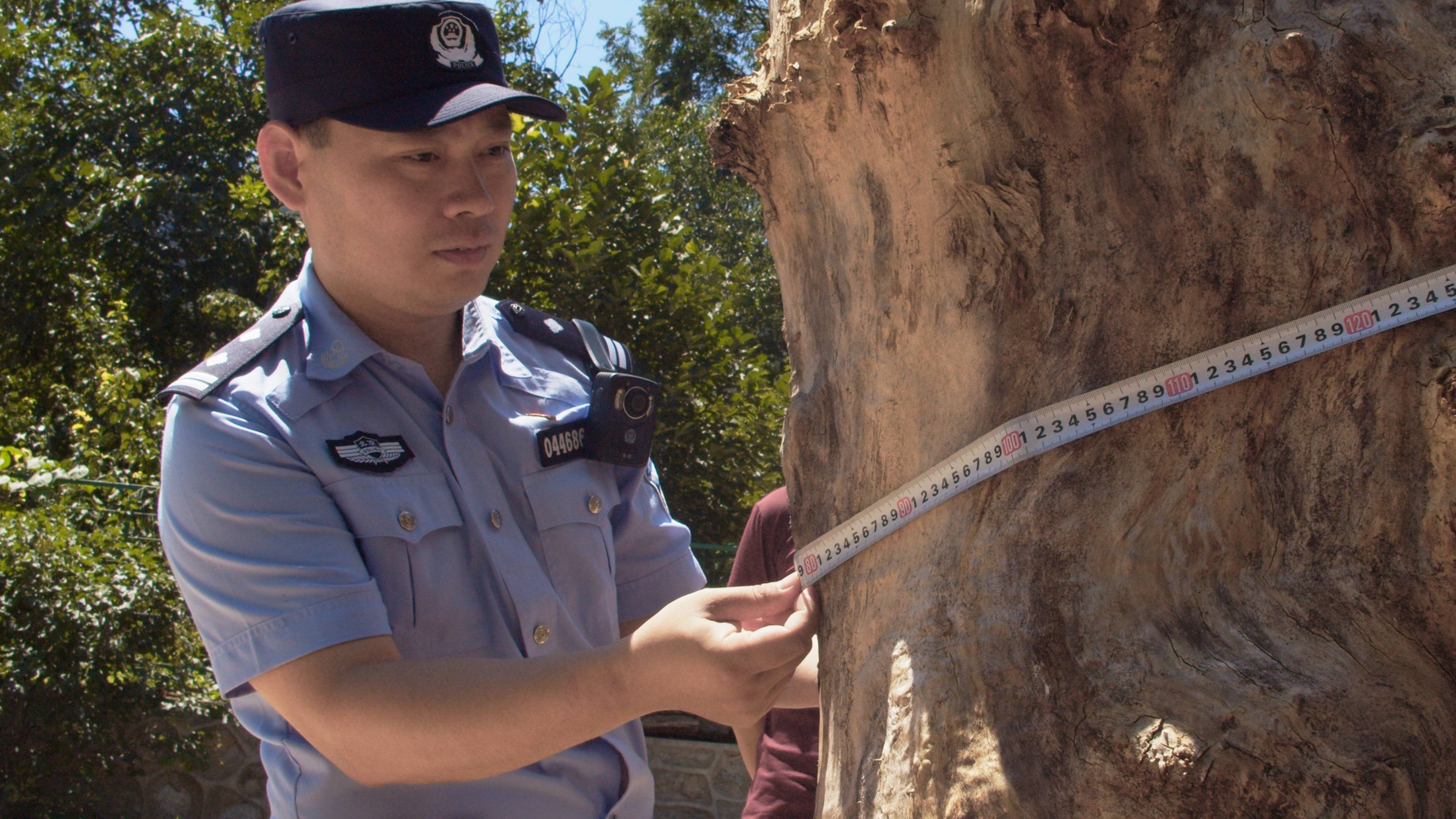 森林警察韩孟祺：乔装成驴友潜伏密林中<strong></p>
<p>比特币等虚拟货币</strong>，抓获“粘鸟”嫌疑人