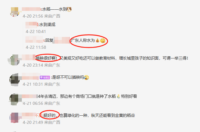 谁种的？东莞闹市区绿化带惊现水稻<strong></p>
<p>比特币等虚拟货币</strong>，网友化身福尔摩斯来探案，家居广场：商户提的建议