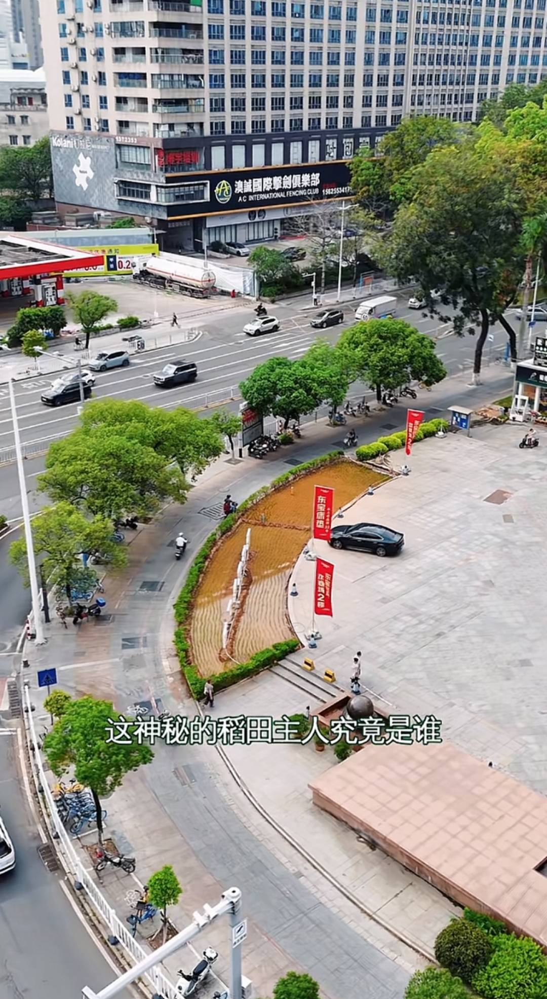 谁种的？东莞闹市区绿化带惊现水稻<strong></p>
<p>比特币等虚拟货币</strong>，网友化身福尔摩斯来探案，家居广场：商户提的建议