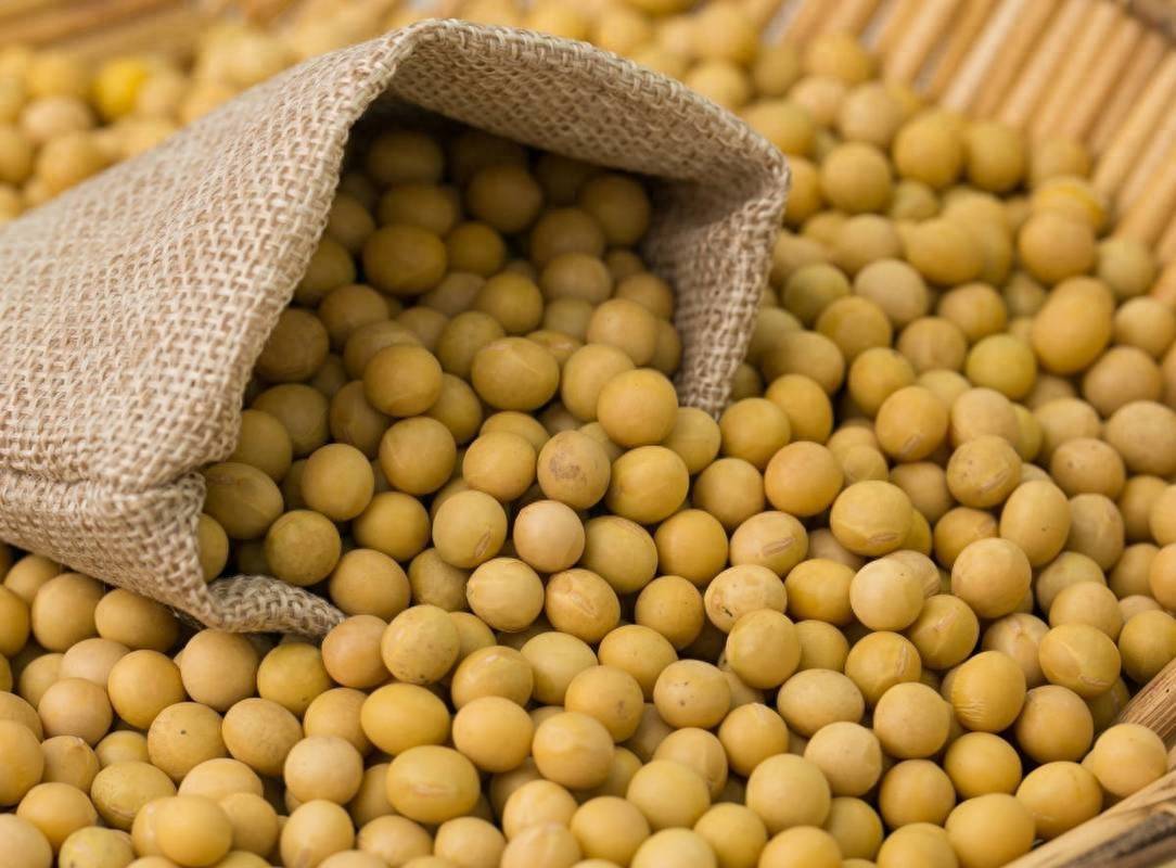 中方终于出手<strong></p>
<p>虚拟币微币</strong>，40艘巨轮开往中国，美国担心的事还是来了