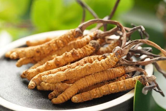 价值18万余元！男子在祁连山非法收购5632根冬虫夏草<strong></p>
<p>虚拟币微币</strong>，构成危害国家重点保护植物罪获刑