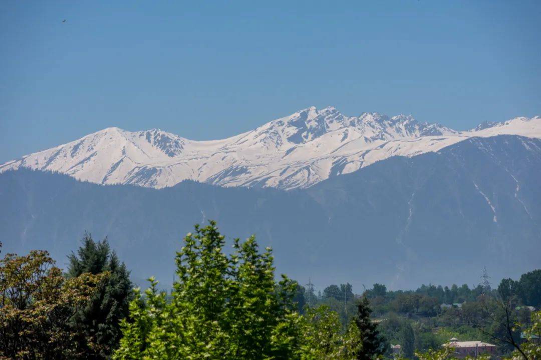 突发！巴基斯坦：击落印军无人机！印控克什米尔地区48处景点被关闭<strong></p>
<p>虚拟币提现</strong>，巴防长：不会爆发核战！中方表态