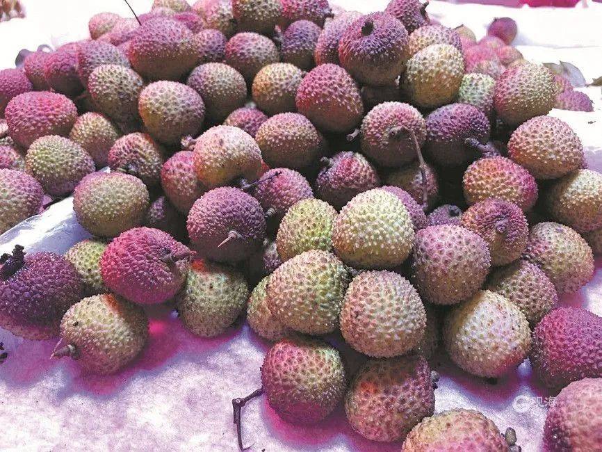 大跳水<strong></p>
<p>虚拟币 价值</strong>,暴跌40%!老板:一天一个价,估计还要跌