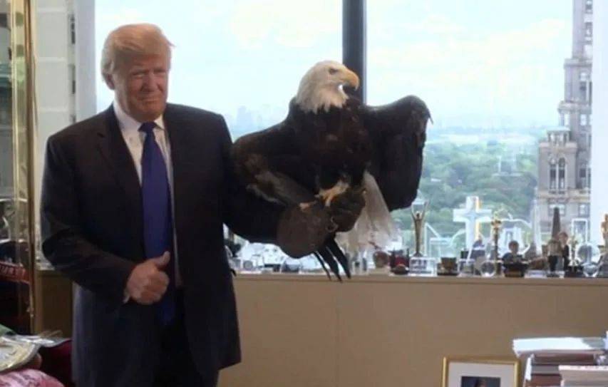 耶伦再次站了出来<strong></p>
<p>虚拟币 价值</strong>，若是与中国对着干，就把美国自己给“打残”了