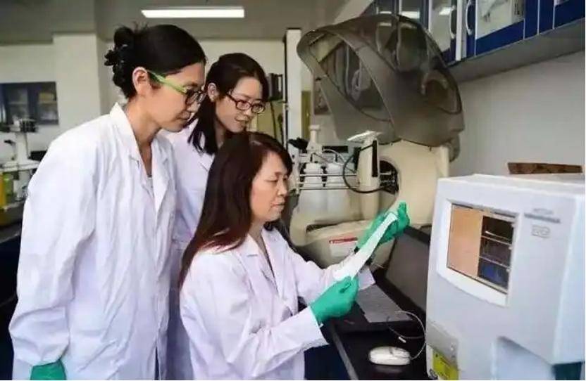 深挖 | “西北大学副校长范代娣成陕西首富”系乌龙<strong></p>
<p>虚拟云币</strong>，但她的人生如同开挂