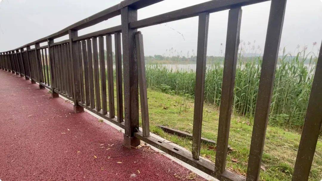 南京市市长陈之常走进直播间<strong></p>
<p>虚拟云币</strong>,现场责令核查燃气二次收费