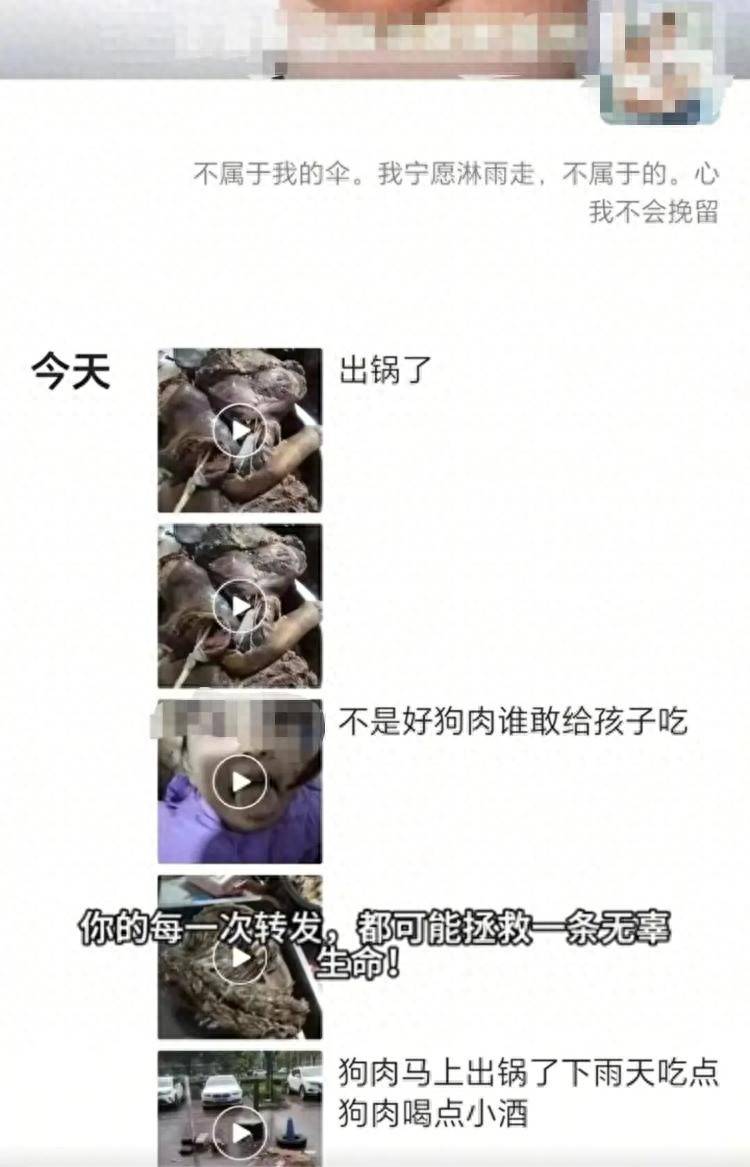 沈阳一店铺老板假借领养名义烹食流浪狗<strong></p>
<p>虚拟云币</strong>，警方：正在研讨处置