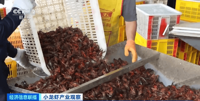 价格暴跌近50%<strong></p>
<p>虚拟币是传销吗</strong>!“接下来还会降”!青岛正大量上市……