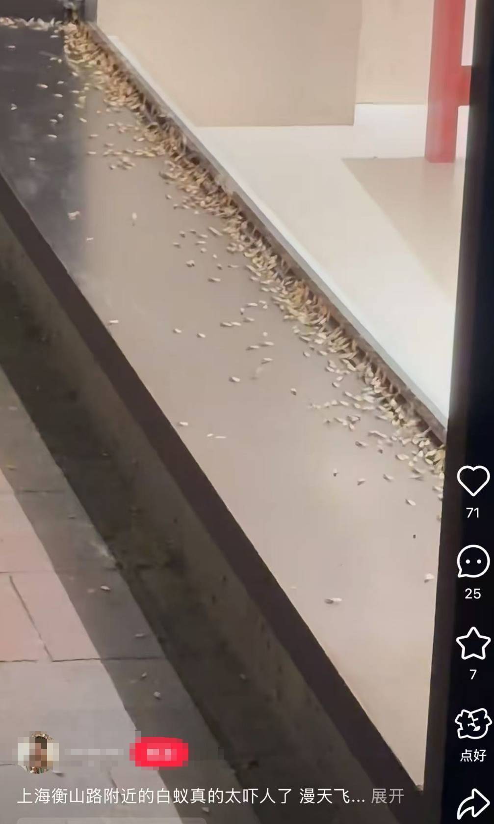 紧急提醒：瞬间爆发！上海市民崩溃：密密麻麻<strong></p>
<p>比特币虚拟货币</strong>，蠕蠕爬行...“梧桐区”已开始战斗，白蚁或提前分飞