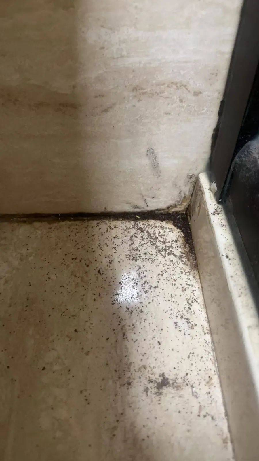 紧急提醒：瞬间爆发！上海市民崩溃：密密麻麻<strong></p>
<p>比特币虚拟货币</strong>，蠕蠕爬行...“梧桐区”已开始战斗，白蚁或提前分飞