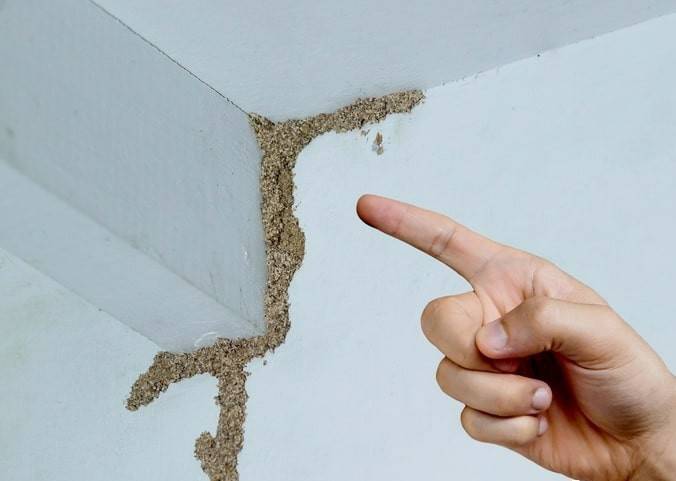 紧急提醒：瞬间爆发！上海市民崩溃：密密麻麻<strong></p>
<p>比特币虚拟货币</strong>，蠕蠕爬行...“梧桐区”已开始战斗，白蚁或提前分飞