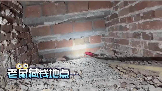 老人用红袜子包裹一万元现金藏在门框上<strong></p>
<p>币安虚拟币交易</strong>，一天后不翼而飞，警方破案：偷钱的是老鼠