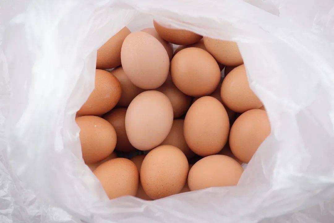 不叠被子、内裤机洗<strong></p>
<p>虚拟马币</strong>，这些看似偷懒的行为，其实没毛病！