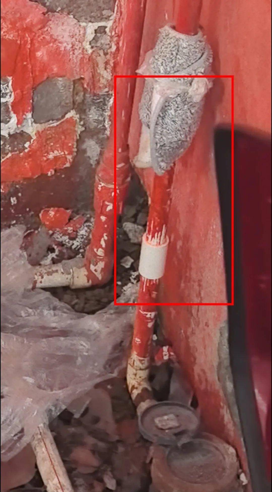 侄女与姑姑争祖父留下的门面<strong></p>
<p>虚拟马币</strong>，长沙租客“躺枪”：我被打了，店也被锁了！