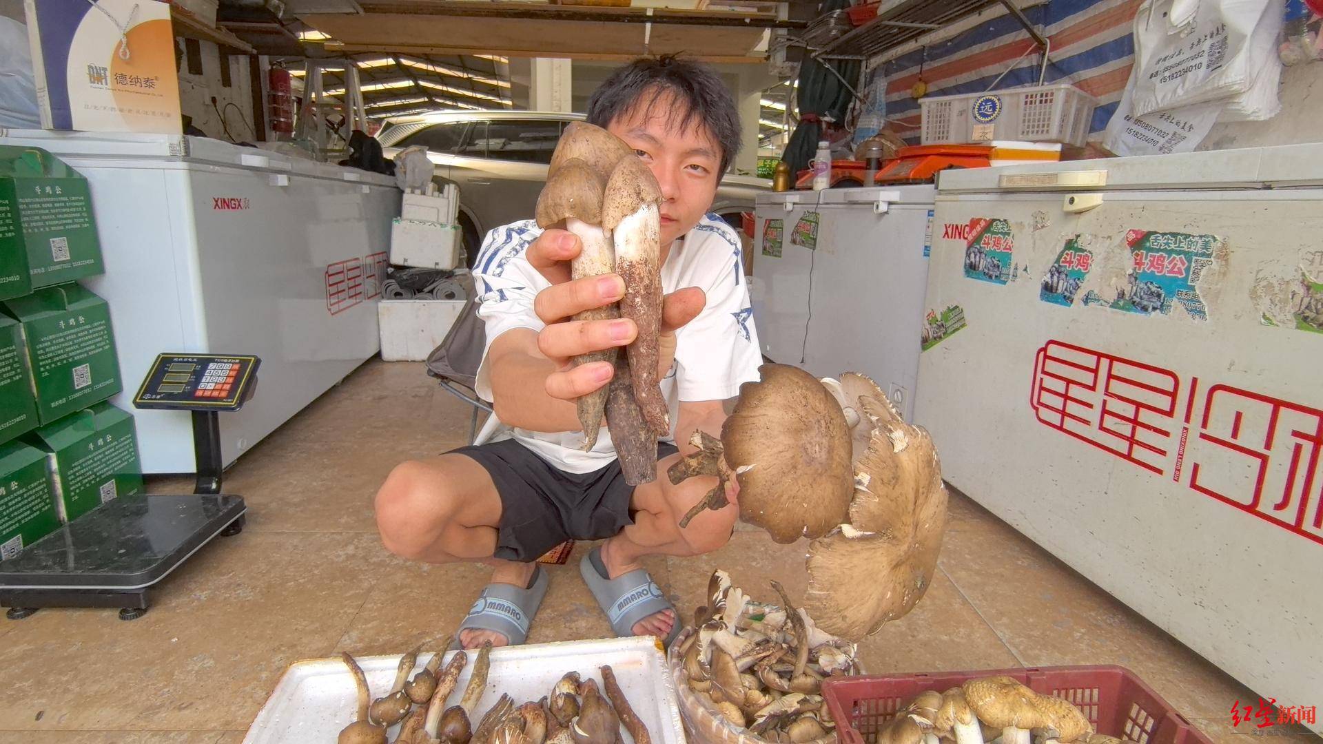 “天价”鸡枞调查:最贵卖到1800元/公斤!雨水少致产量低<strong></p>
<p>虚拟币</strong>,多地价高客少