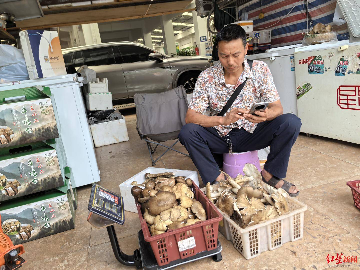 “天价”鸡枞调查:最贵卖到1800元/公斤!雨水少致产量低<strong></p>
<p>虚拟币</strong>,多地价高客少