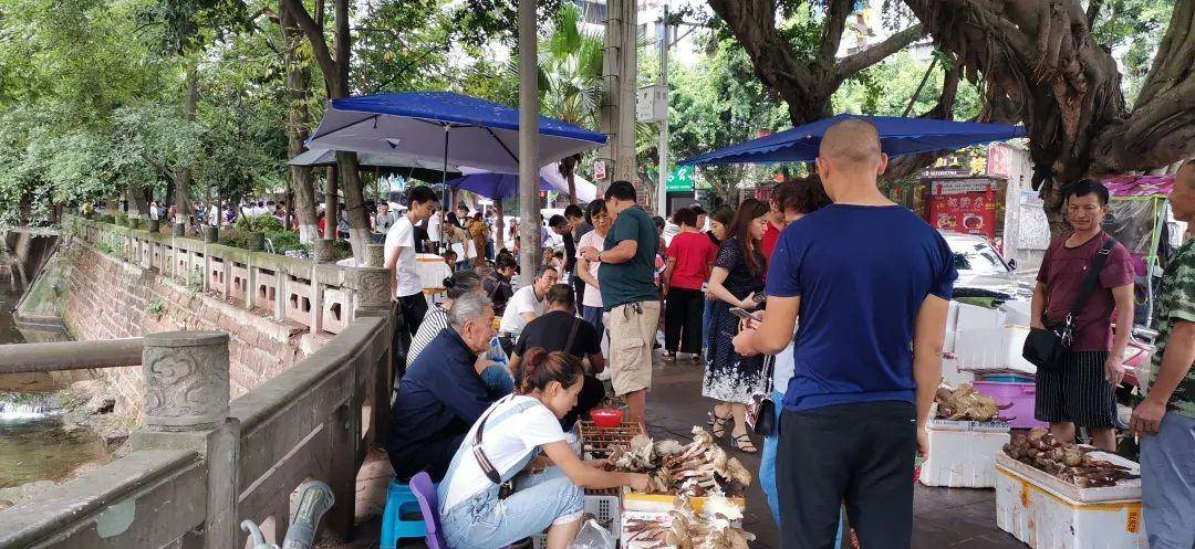 “天价”鸡枞调查:最贵卖到1800元/公斤!雨水少致产量低<strong></p>
<p>虚拟币</strong>,多地价高客少