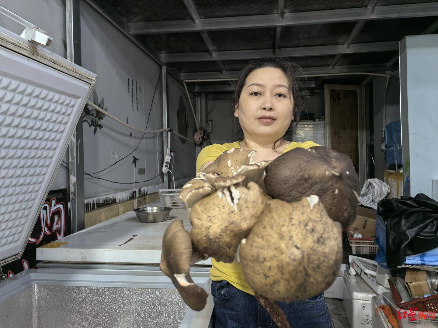 “天价”鸡枞调查:最贵卖到1800元/公斤!雨水少致产量低<strong></p>
<p>虚拟币</strong>,多地价高客少