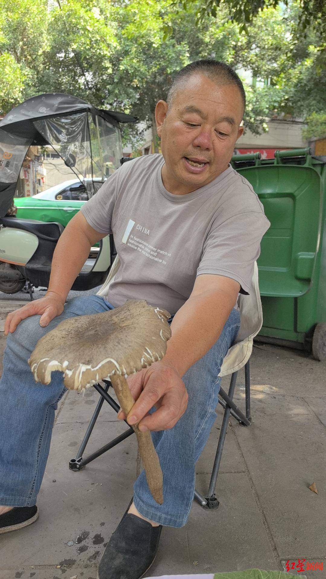 “天价”鸡枞调查:最贵卖到1800元/公斤!雨水少致产量低<strong></p>
<p>虚拟币</strong>,多地价高客少