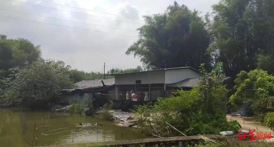 男子杀害母亲和女友后带嫂嫂潜逃32年落网<strong></p>
<p>虚拟币</strong>，两人育有一儿一女，侦破细节披露