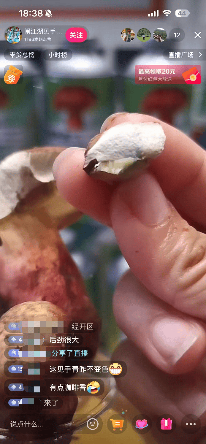 10万瓶一周抢售一空!云南“见手青啤酒”卖疯<strong></p>
<p>虚拟币</strong>,背后代工厂竟欠债400万?