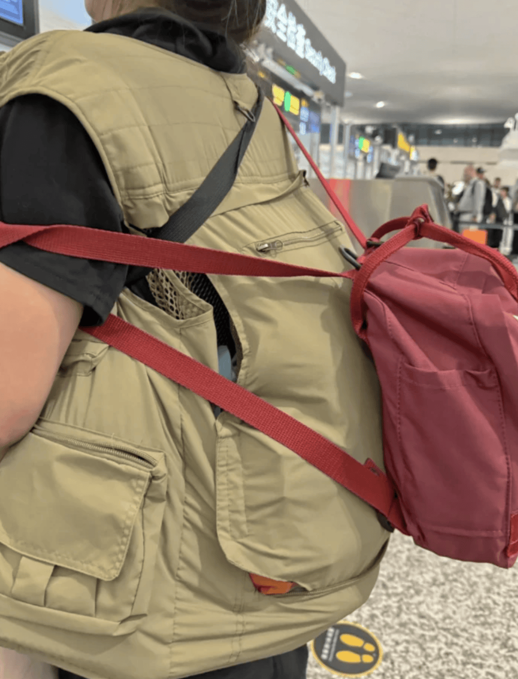 “坐飞机发现旁边放着冷链海鲜”<strong></p>
<p>虚拟币</strong>,航空公司兼职送货给出差人整破防了