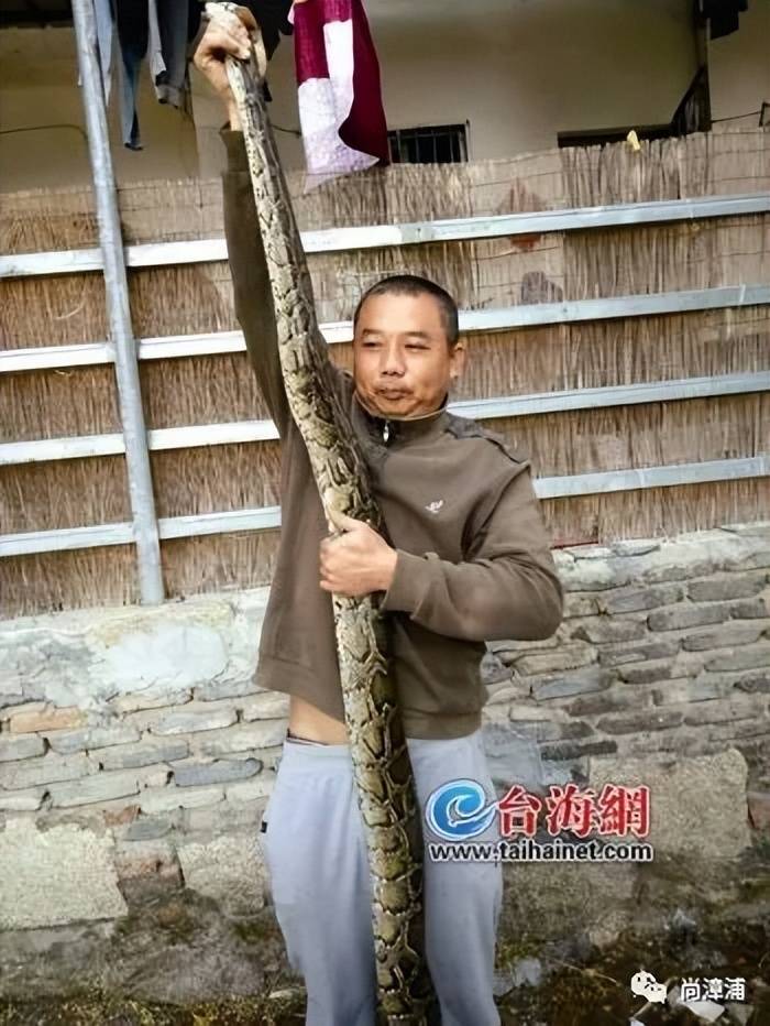 女游客疑被蛇咬伤身亡后<strong></p>
<p>虚拟币 赚</strong>，博主“啊宝”讲毒蛇1天涨粉190万