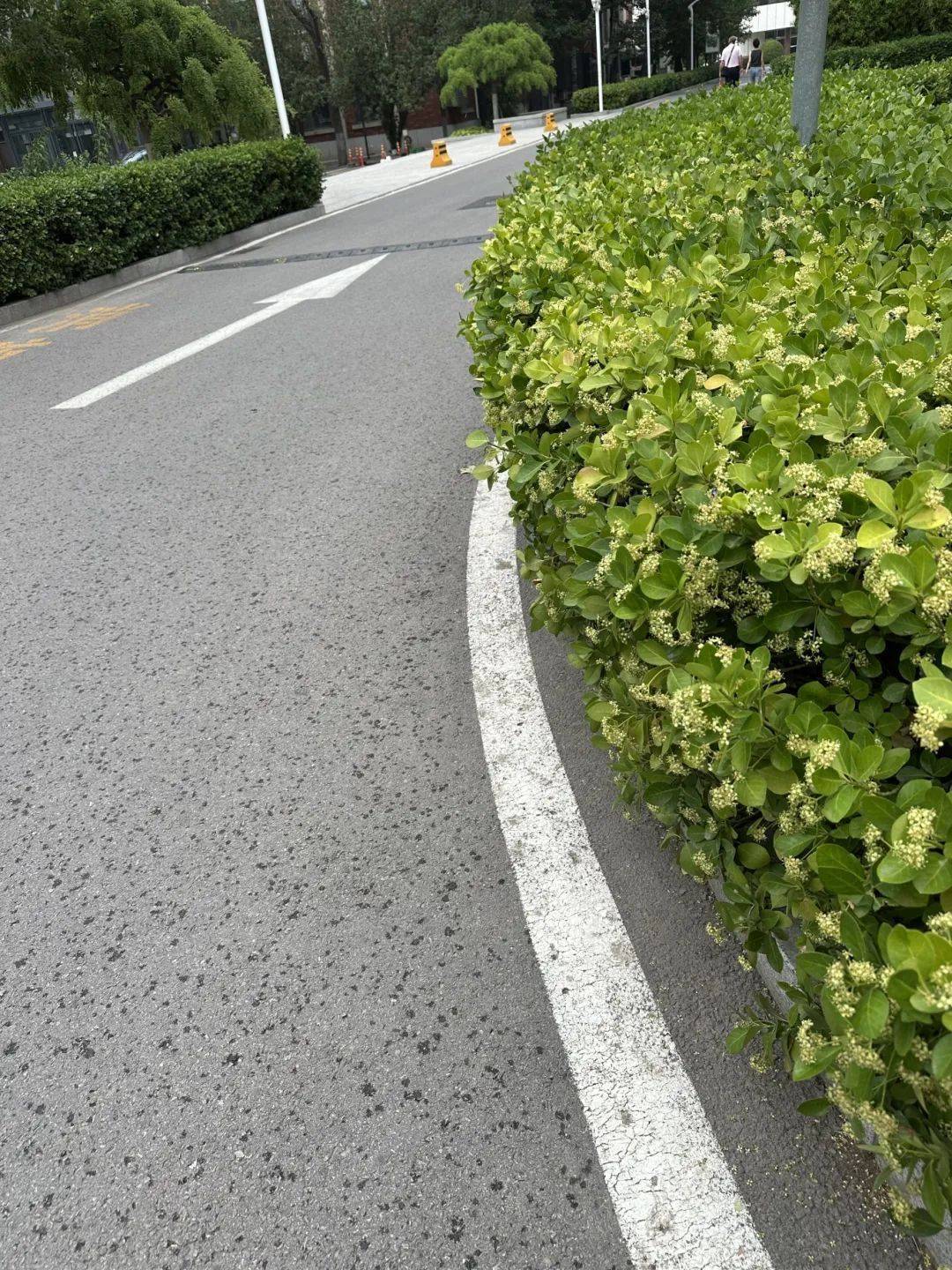 下雨了<strong></p>
<p>2015虚拟币</strong>！天津接下来十天都是……